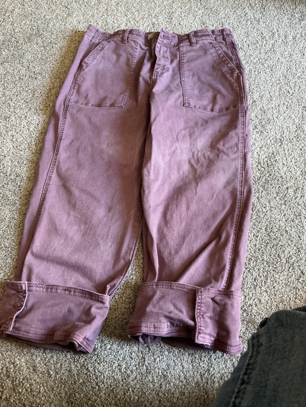 Christopher & Banks Purple Capri Sz 12 NWOT